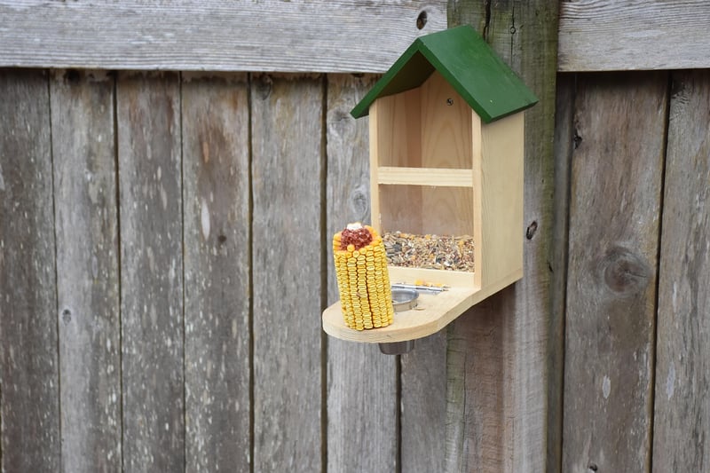 Toilet Paper Roll Bird Feeder